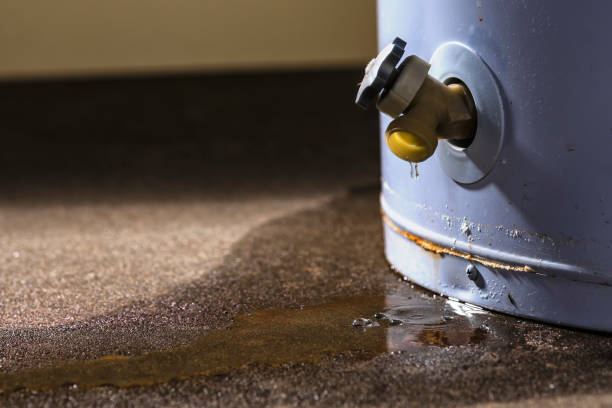 Best Emergency water damage restoration  in Trezevant, TN