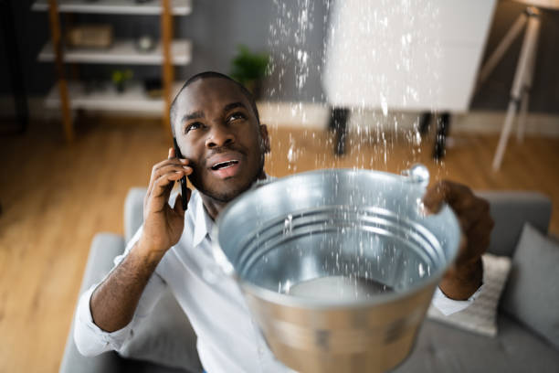 Best Commercial water damage restoration  in Trezevant, TN