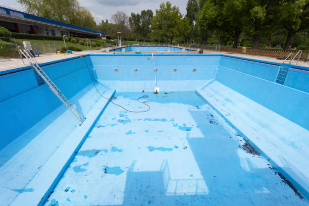 Best Mold removal after water damage  in Trezevant, TN