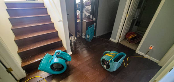 Best Professional water damage repair  in Trezevant, TN