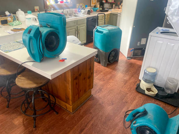 Best Water damage restoration insurance claims  in Trezevant, TN