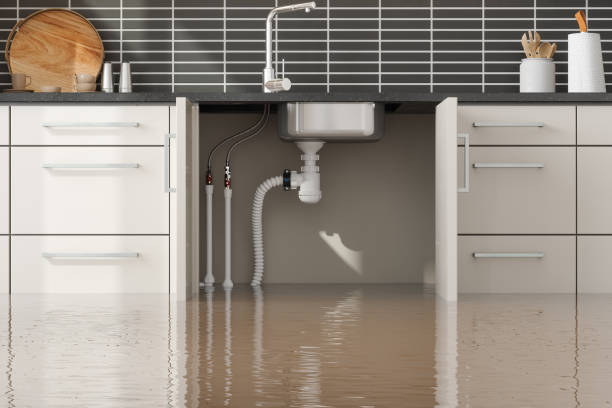 Best Water damage restoration near me  in Trezevant, TN