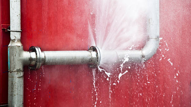 Best 24-hour water damage restoration  in Trezevant, TN
